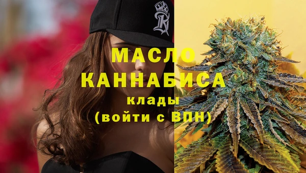 2c-b Богородицк