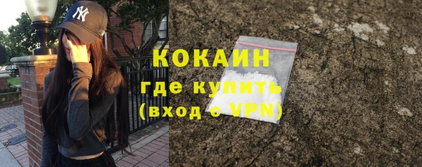 дживик Верея