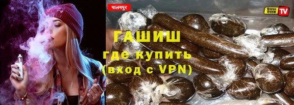 mdpv Бородино