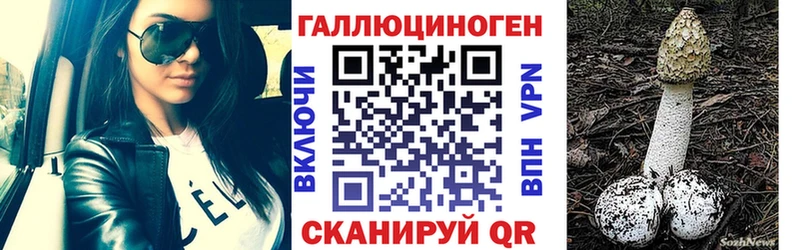 где купить наркоту  Жиздра  Псилоцибиновые грибы ЛСД 